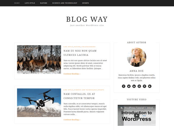 Blog Way Free & Premium Blogging WordPress Themes