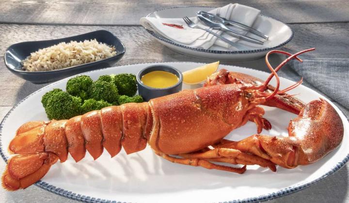 What to Eat at Red Lobster