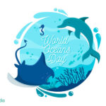 World-ocean-Day-my-info-adda